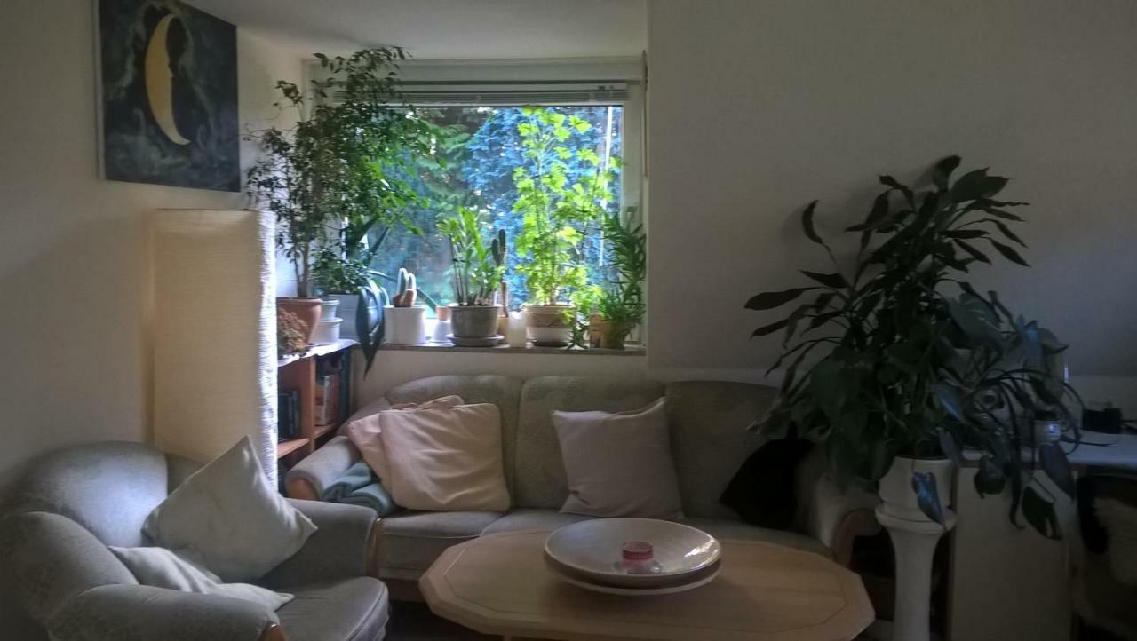 Gemuetl. Ferienwohnung Und Privatzimmer Amburgo Esterno foto