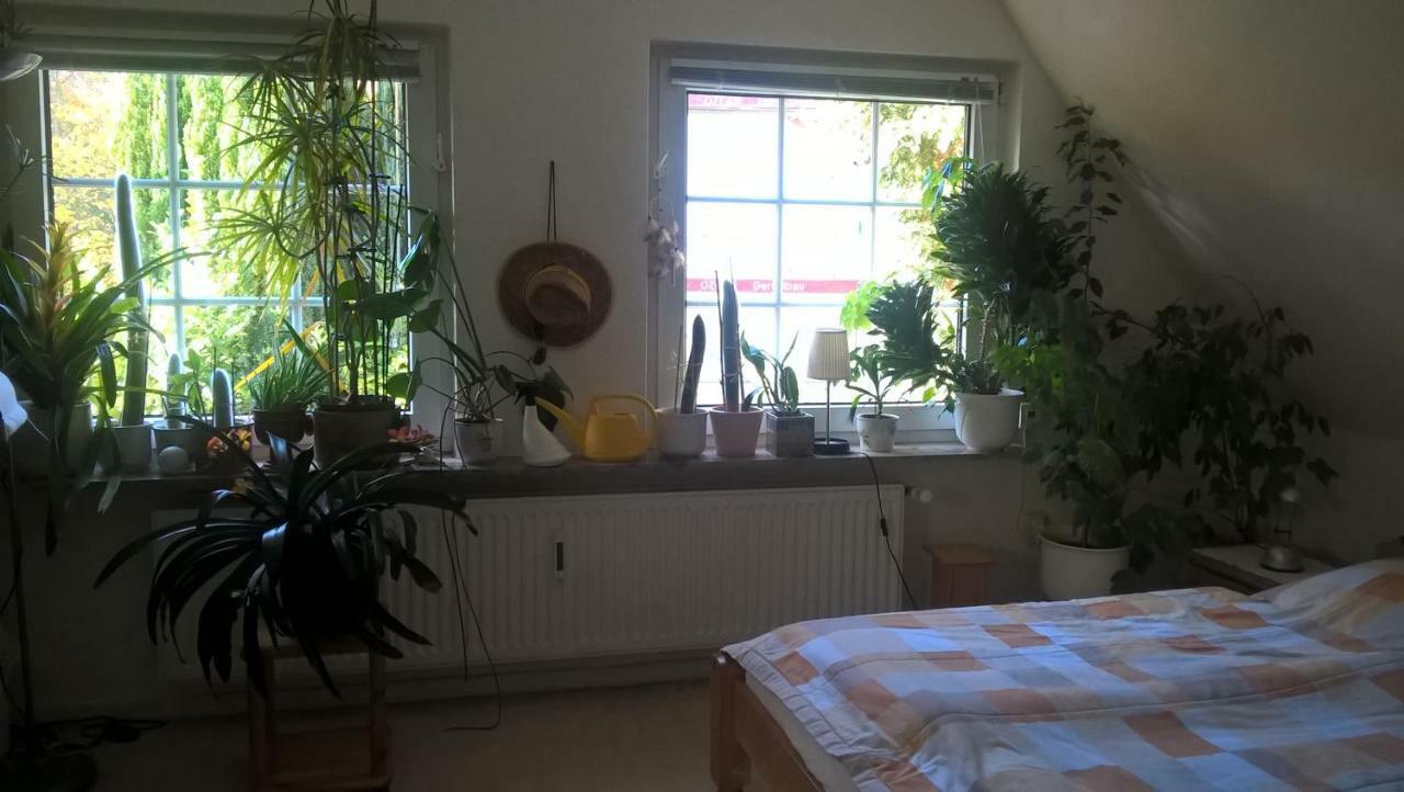 Gemuetl. Ferienwohnung Und Privatzimmer Amburgo Esterno foto